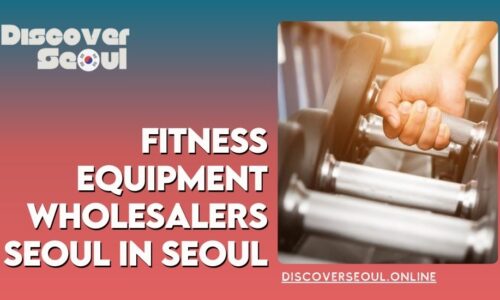 6474-Fitness-Equipment-Wholesalers-Seoul-in-Seoul